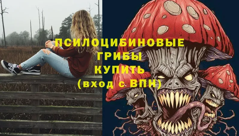 Галлюциногенные грибы Psilocybe  что такое   Боготол 